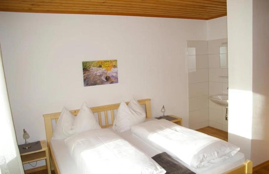 Haus Brigitte Rettensteiner Schladming Buitenkant foto